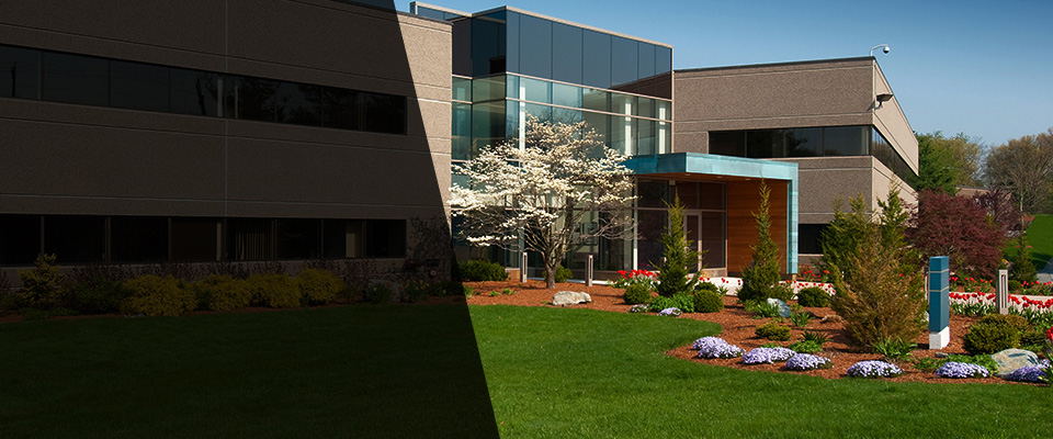 Epping Landscapers
