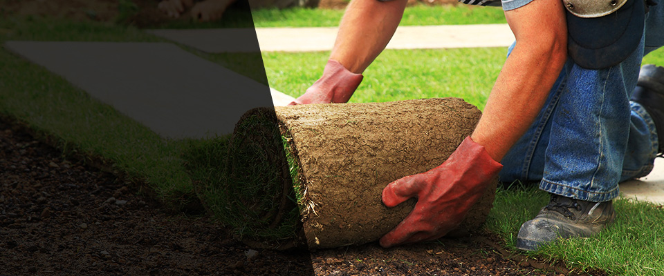 Epping Landscapers